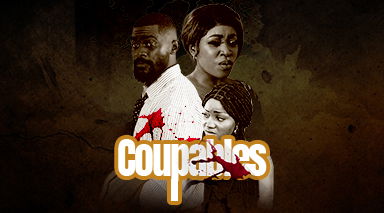 COUPABLES (12 CAS)