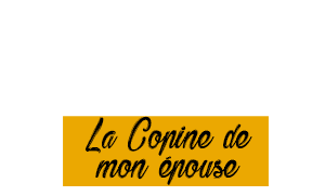 LA COPINE DE MON EPOUSE (Nos histoires d'amour) LA COPINE DE MON EPOUSE (Nos histoires d'amour)