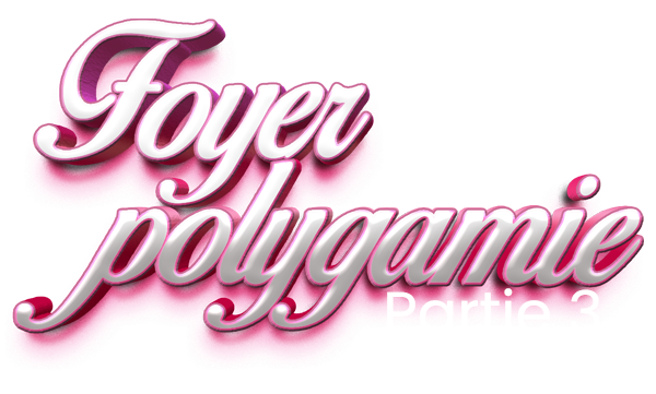 FOYER POLYGAMIQUE (Les déballeurs) Saison 3