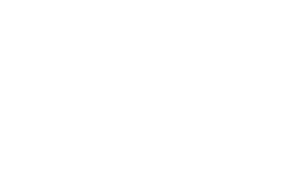 LA BATAILLE DES CHÉRIES